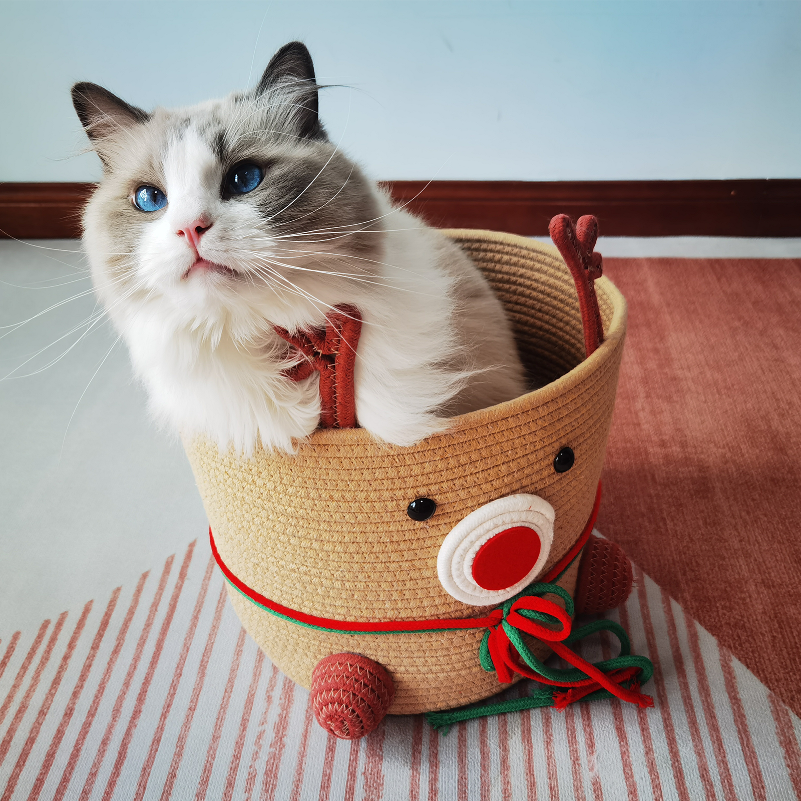Cat sitting in a reindeer-shaped basket on a striped rug.